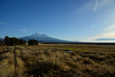 DSC_3007 (Large).JPG